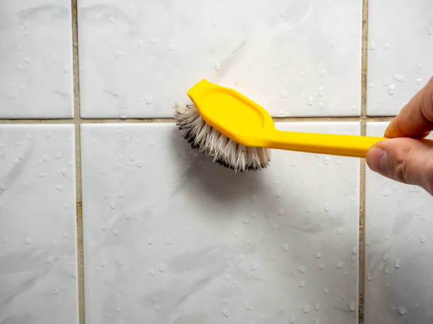 Best Mold Remediation  in Piggott, AR